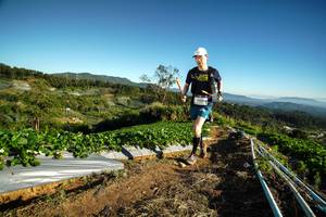 BIB: 
                            <button type="button" onclick="openModal(19118223)" class="btn btn-primary btn-sm float-right btn-popup" data-toggle="modal" data-target=".modal-high-quality">
                        <i class="fas fa-shopping-cart"></i> Add to Cart
                    </button>
                                            <button type="button" onclick="isThisMe(19118223, true)" class="btn btn-success btn-sm float-right btn-popup btn-isme hidden" data-toggle="tooltip" data-placement="bottom" title="นี่คือรูปของคุณใช่ไหม คลิกที่นี่เพื่อเอาเข้าอัลบั้ม">
                        <i class="fas fa-plus"></i> Add to album
                    </button>
                    <button type="button" onclick="isThisMe(19118223, false)" class="btn btn-warning btn-sm float-right btn-popup btn-isnotme hidden">
                        <i class="fas fa-ban"></i> Remove from album
                    </button>